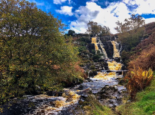 Bleabeck Force