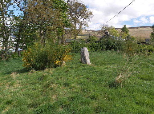Cardrona Standing Stone