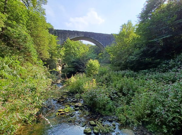 Causey Arch