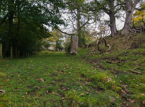 Chesterholm Roman Milestone