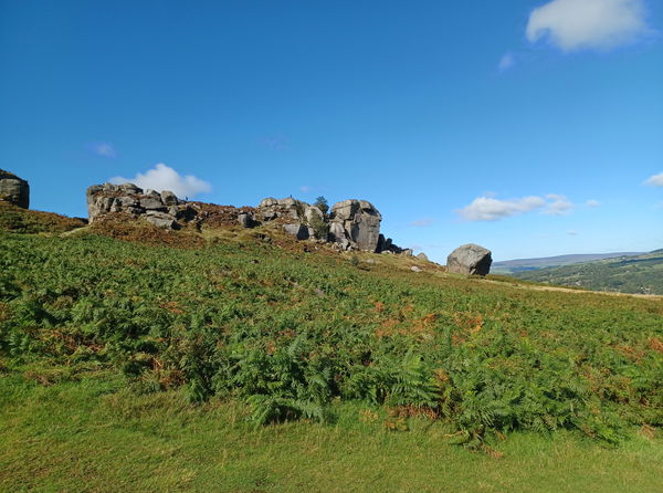 Cow and Calf Rocks