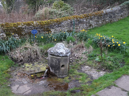 Cuddy's Well