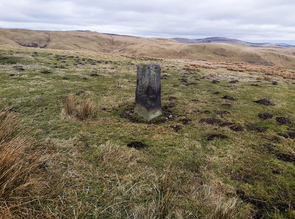 Deel's Hill Standing Stone