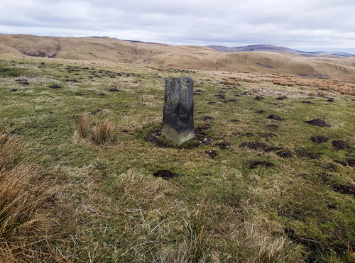 Deel's Hill Standing Stone