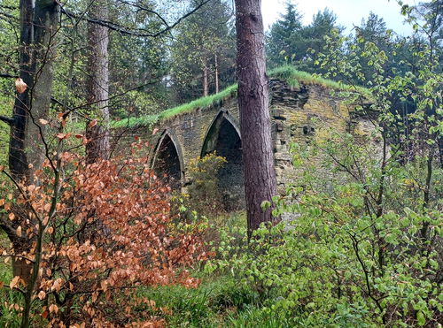 Dukesfield Arches