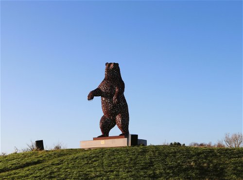 Dunbar Bear - DunBear