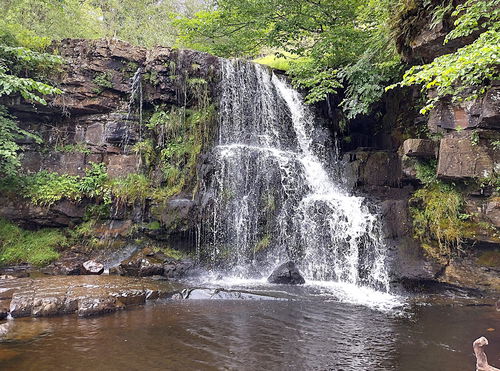 East Gill Force