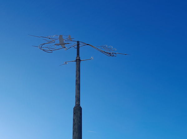 Flight At Sunderland Marina