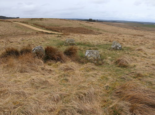 Goatstones