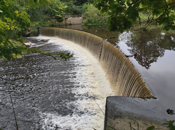 Guyzance Weir