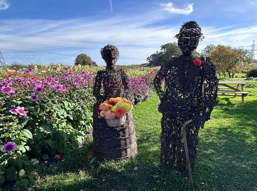 Halls of Heddon Flower Fields