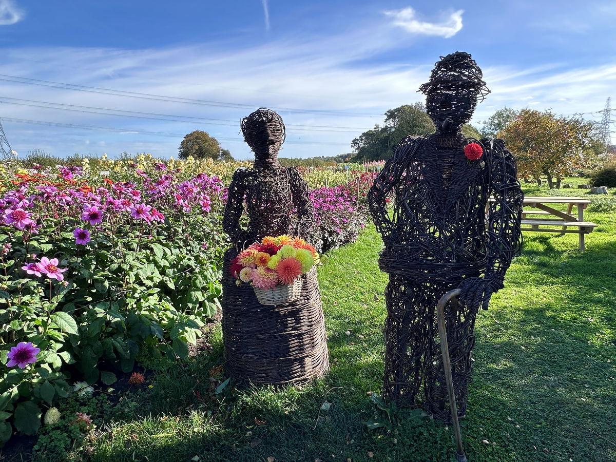 Halls Of Heddon Flower Fields In Heddon On The Wall - Fabulous North