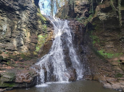 Hareshaw Linn