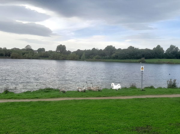 Hetton Lyons Country Park