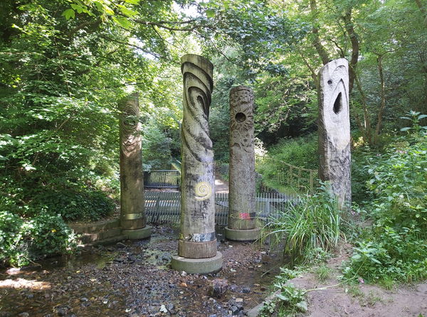 Hexham Totem Poles