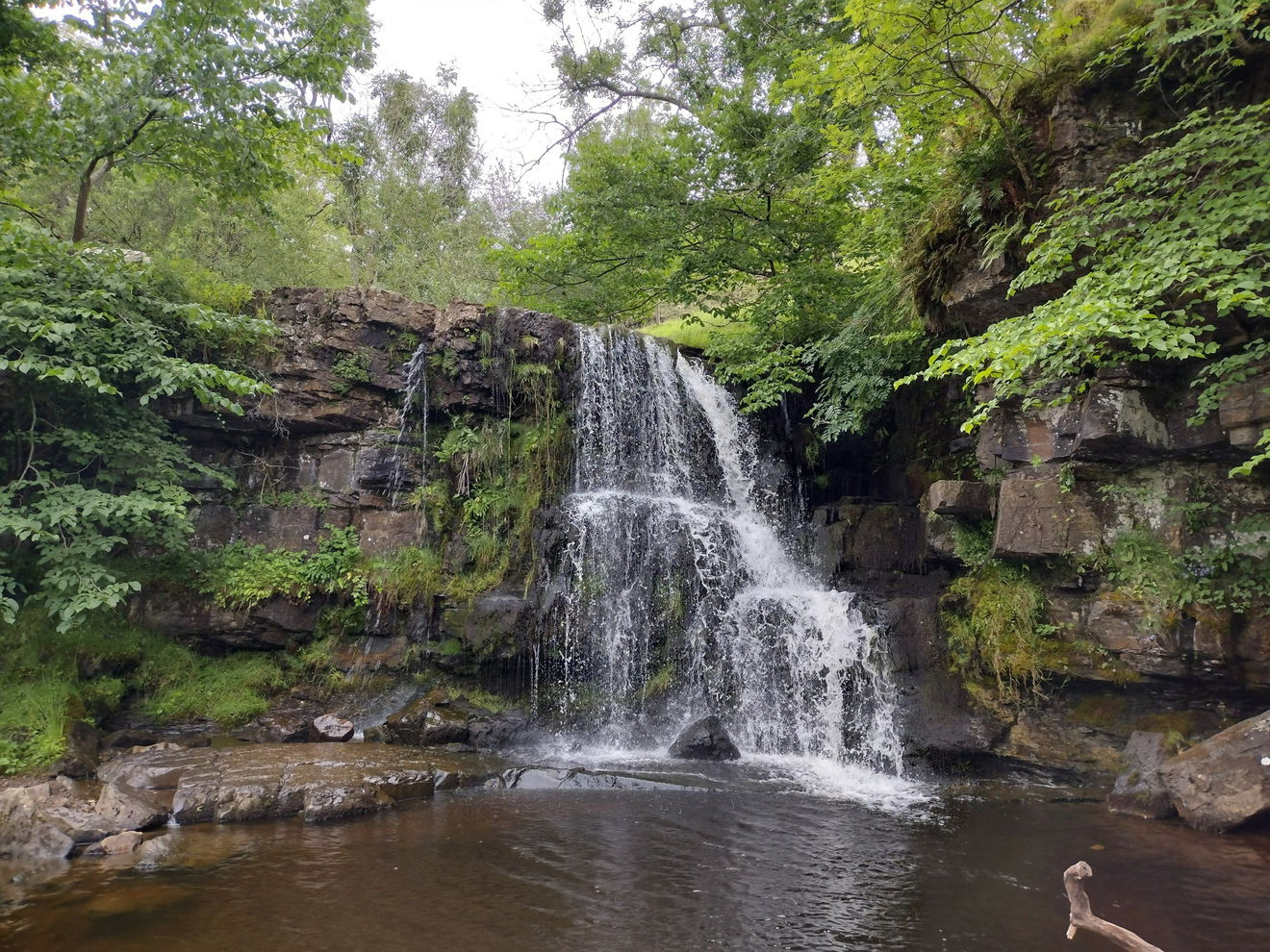 East Gill Force