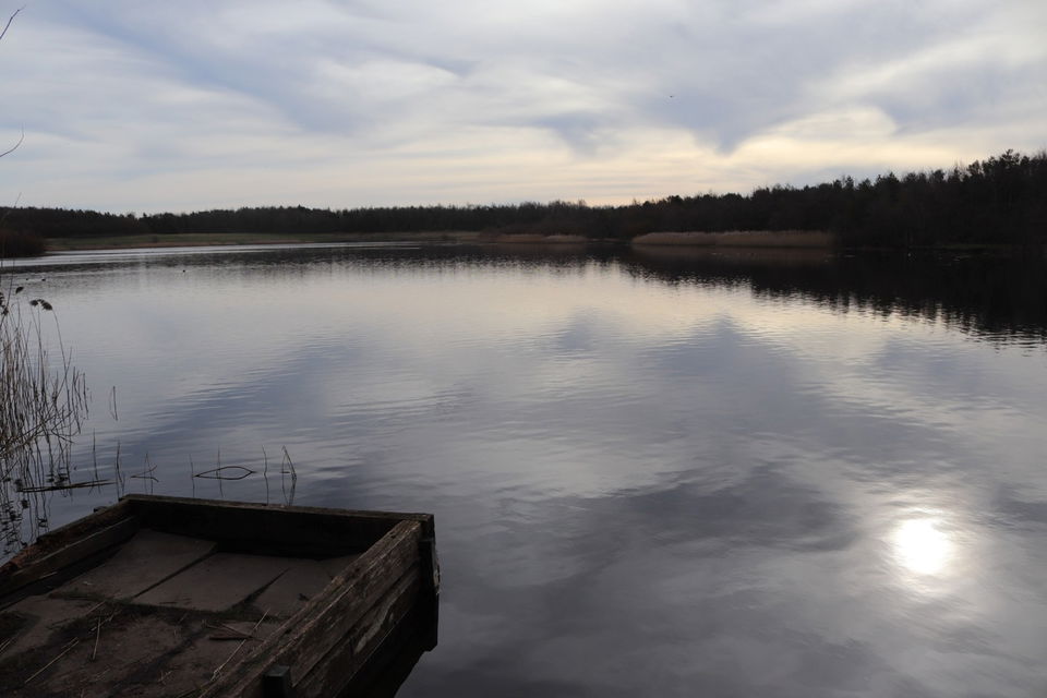 Queen Elizabeth II Jubilee Country Park In Ashington - Fabulous North