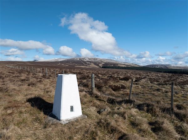 King's Seat Trig Point
