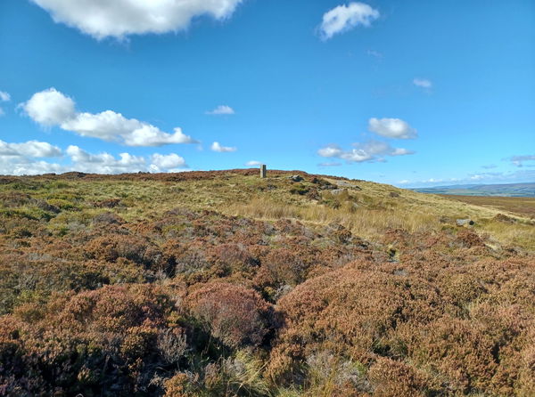 Lanshaw Lad Boundary Stone