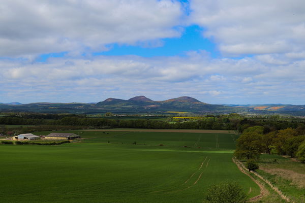 Eildon Hills