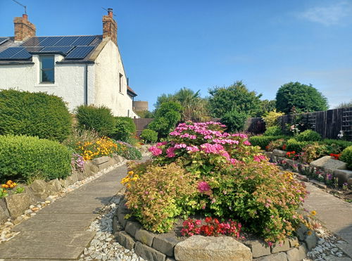 Lindisfarne Gospel Garden