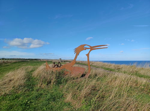 Little Tern Sculpture