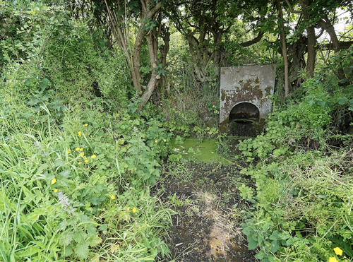 Marmion Well