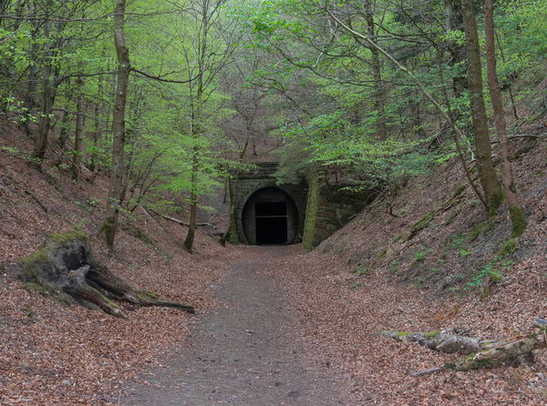 Neidpath Tunnel