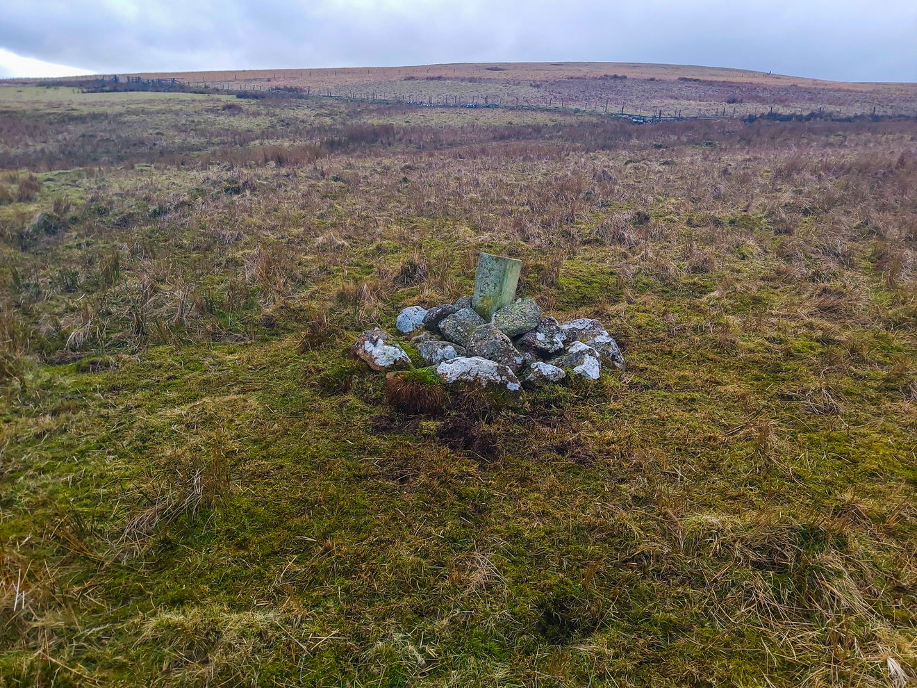 Nellie Heron's Memorial Stone