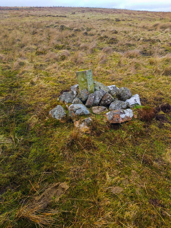 Nellie Heron's Memorial Stone