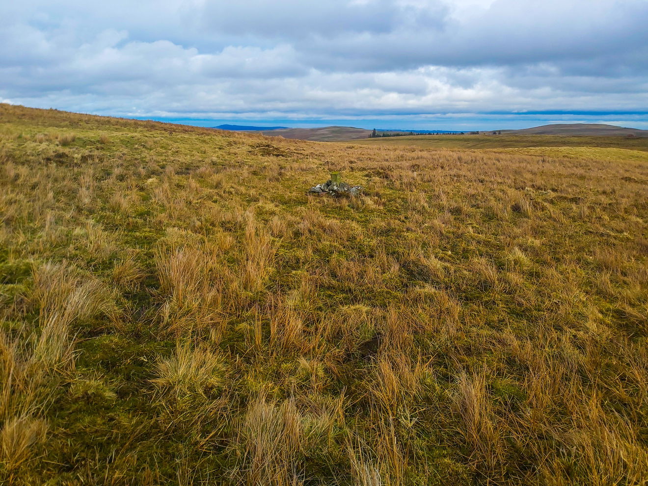 Nellie Heron's Memorial Stone