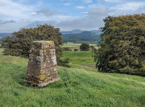 Nutholm Hill Trig Point