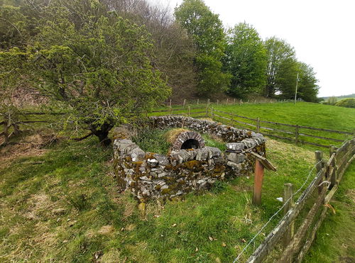 Our Lady's Well Stow