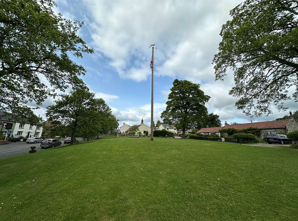 Ovington Maypoles