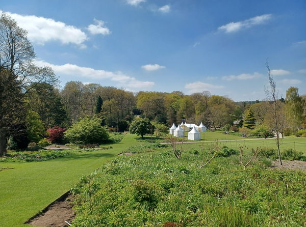 RHS Harlow Carr