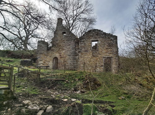 Rowantree Stob Bastle