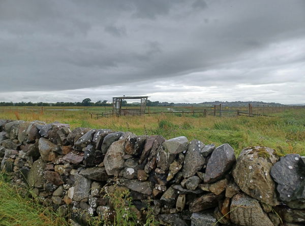 RSPB Crook of Baldoon