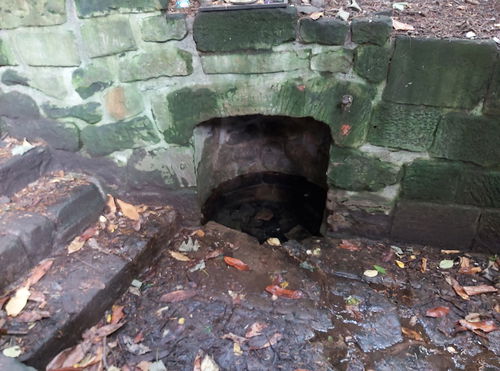 Saint Mary's Well