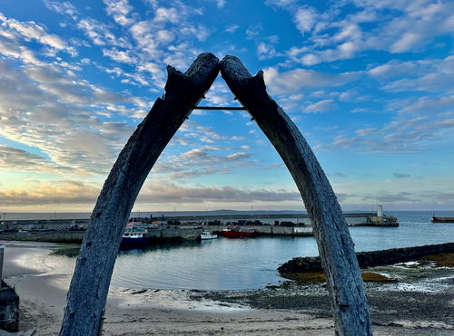 Seahouses Right Whale Jaw Bones