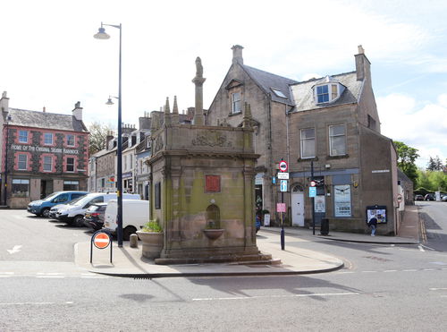 Selkirk Pant Well