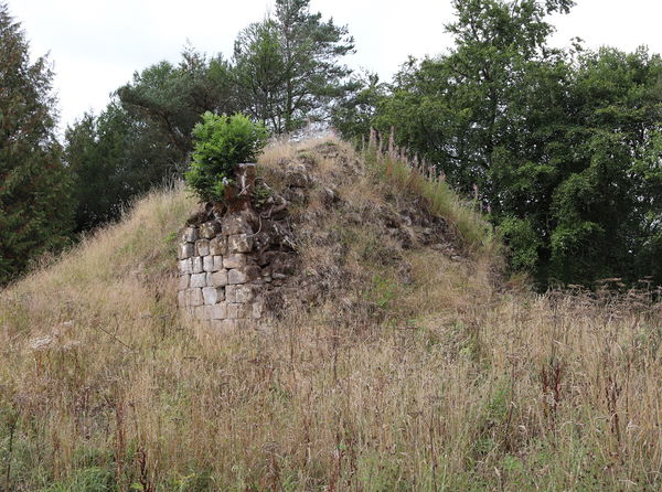 Simonburn Castle