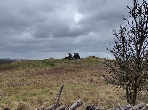 Sir John de Graham's Castle