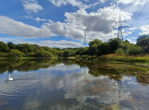 Stargate Ponds