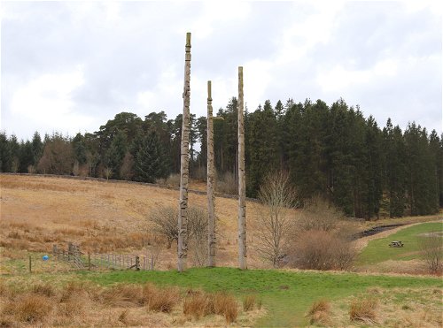 Stonehaugh Totem Poles