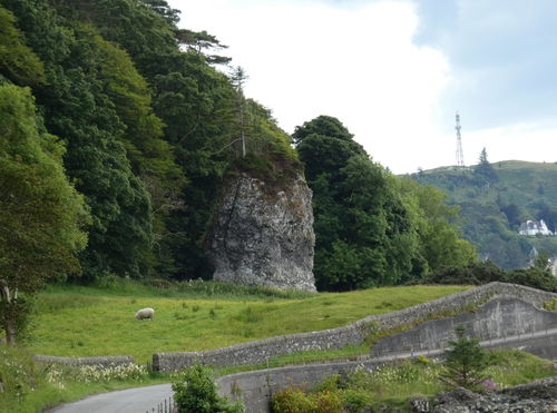 The Dog Stone