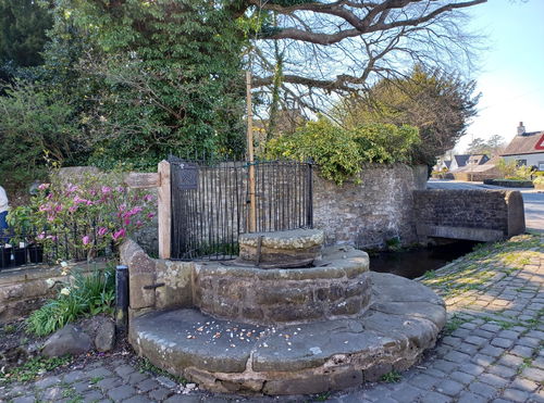 The Fish Stones