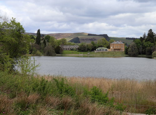 The Haining