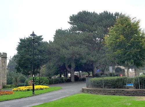 Old Rectory And Park