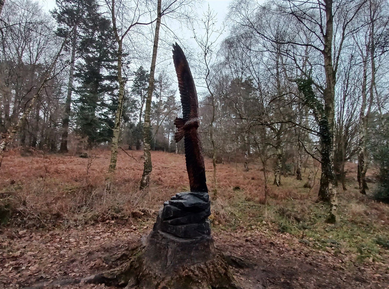 Thornley Woods Sculpture Trail