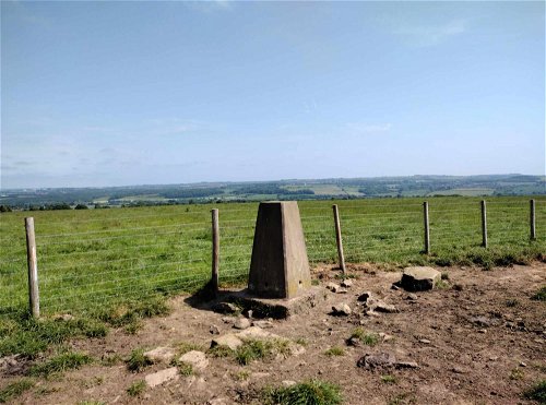 Tripsy Bank Trig Point